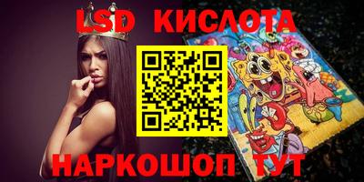 прущие грибы Гатчина