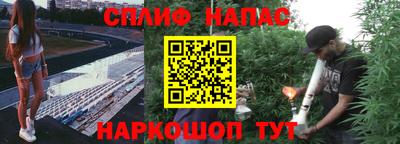 ПСИЛОЦИБИНОВЫЕ ГРИБЫ Гагарин