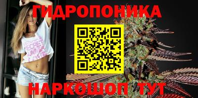 ПСИЛОЦИБИНОВЫЕ ГРИБЫ Гагарин