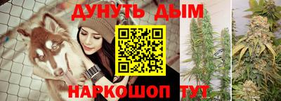 прущие грибы Гатчина