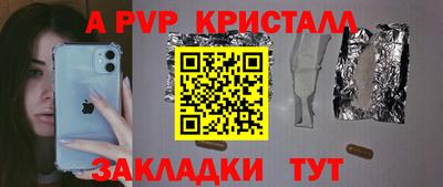 прущие грибы Гатчина