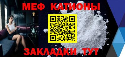прущие грибы Гатчина