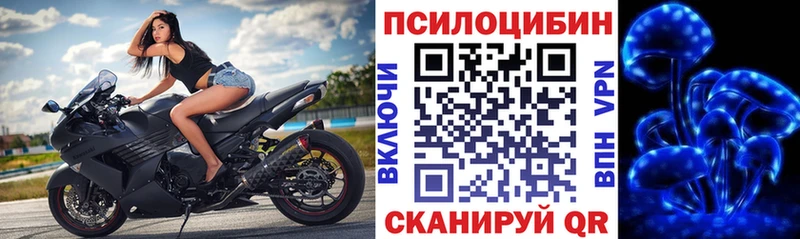 Галлюциногенные грибы Psilocybe цена KRAKEN Зима