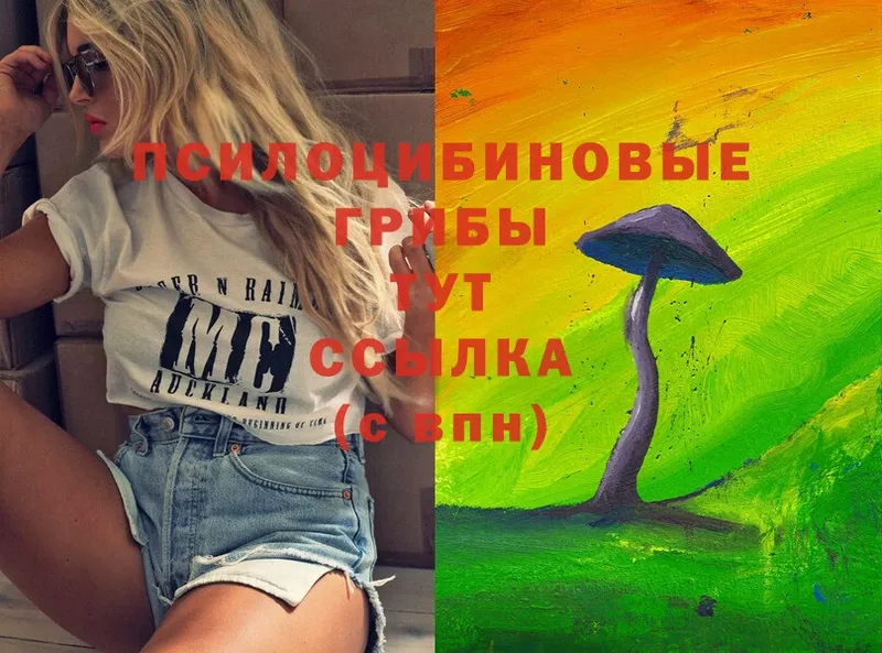 купить наркотики сайты  Зима  Псилоцибиновые грибы Psilocybe 