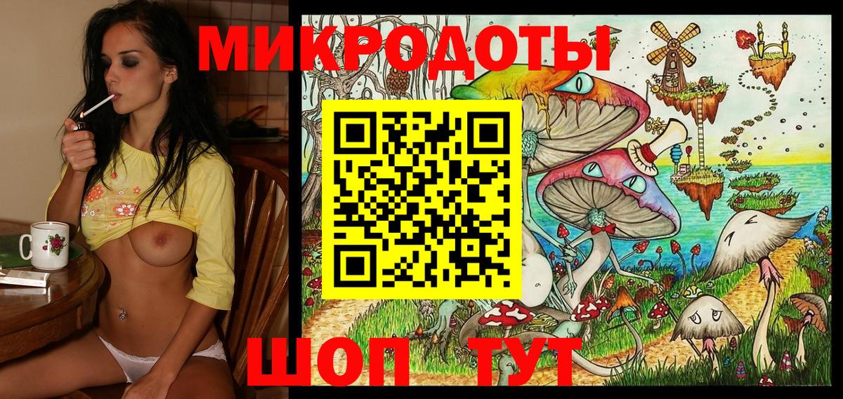 Псилоцибиновые грибы Psilocybe Зима