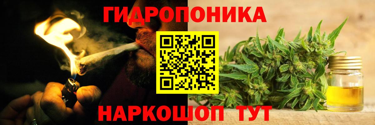 Каннабис Ganja  Зима  Марихуана тримм  МАРИХУАНА ГИДРОПОН  Бошки Шишки сатива 